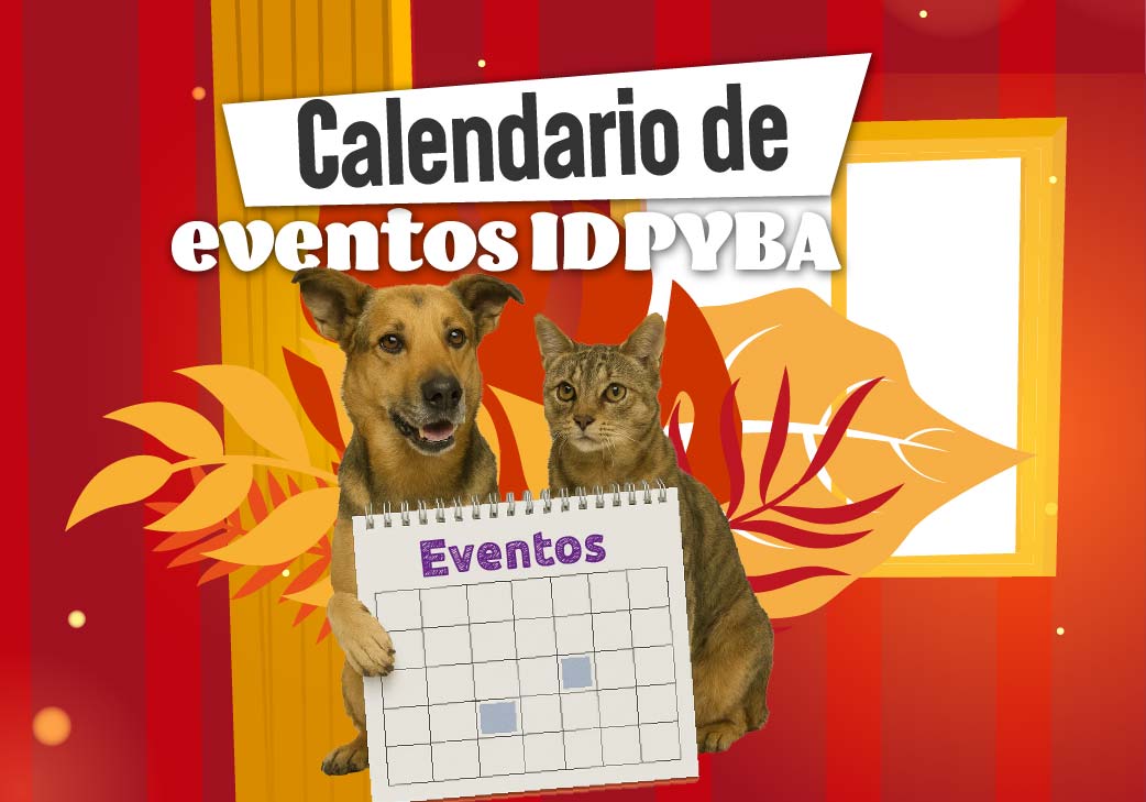 Banner del Calendario IDPYBA