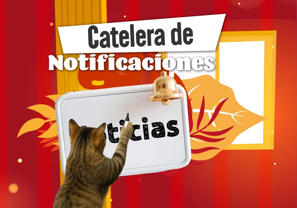 Banner de Notificaciones IDPYBA