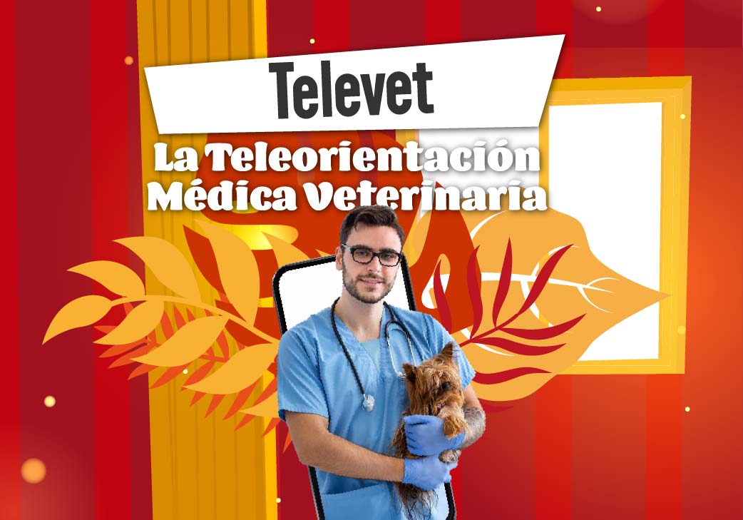 Banner de Teleorientación Médica Veterinaria - TeleVet IDPYBA