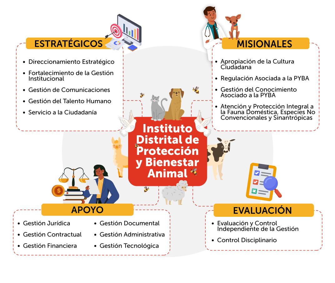 Mapa de Procesos del Instituto Distrital de Protección y Bienestar Animal - IDPYBA
