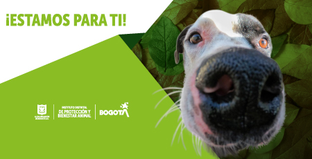 Banner contáctenos estamos par ti