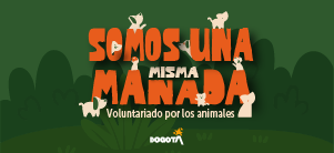 Logo Somo una misma manada