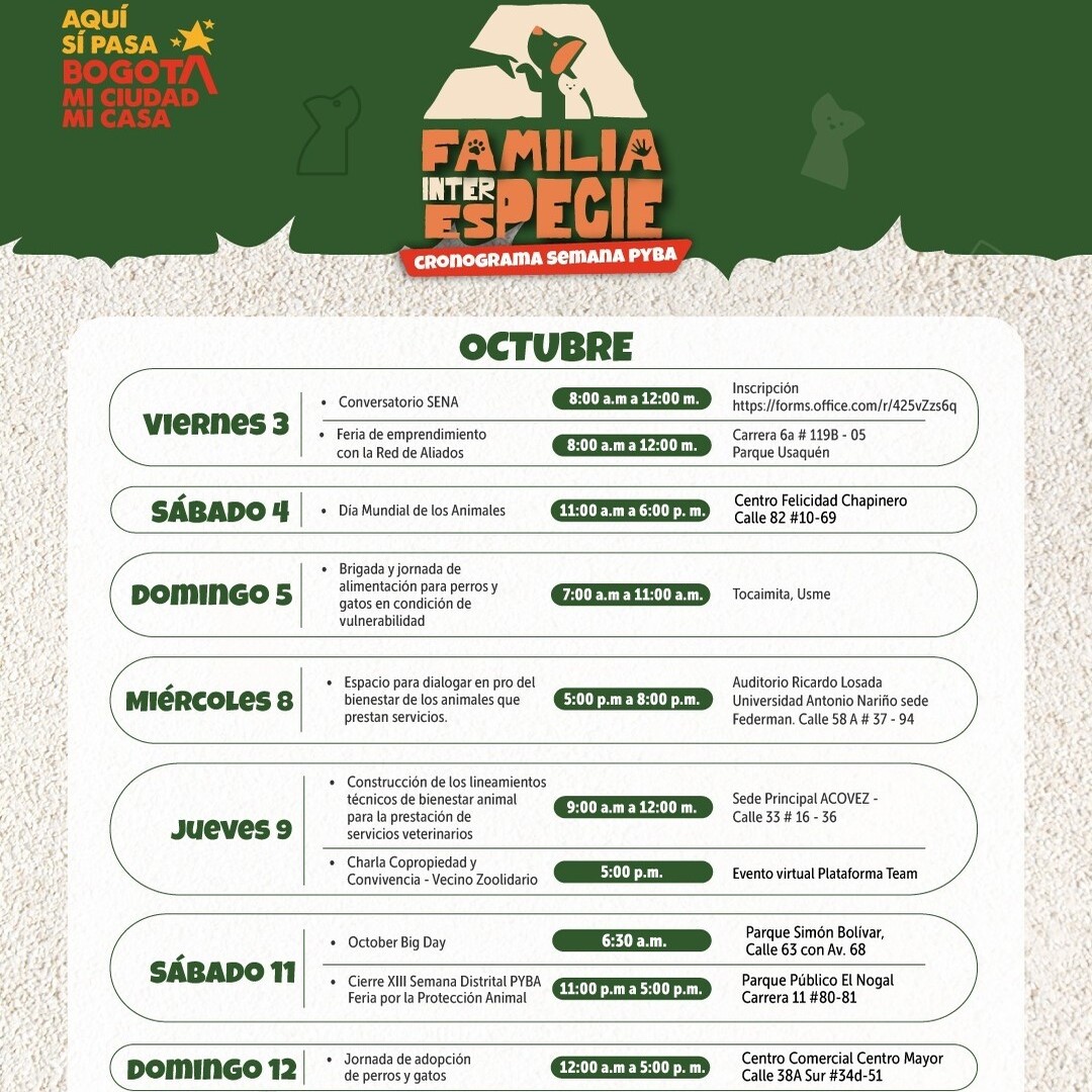 Cronograma semana Pyba