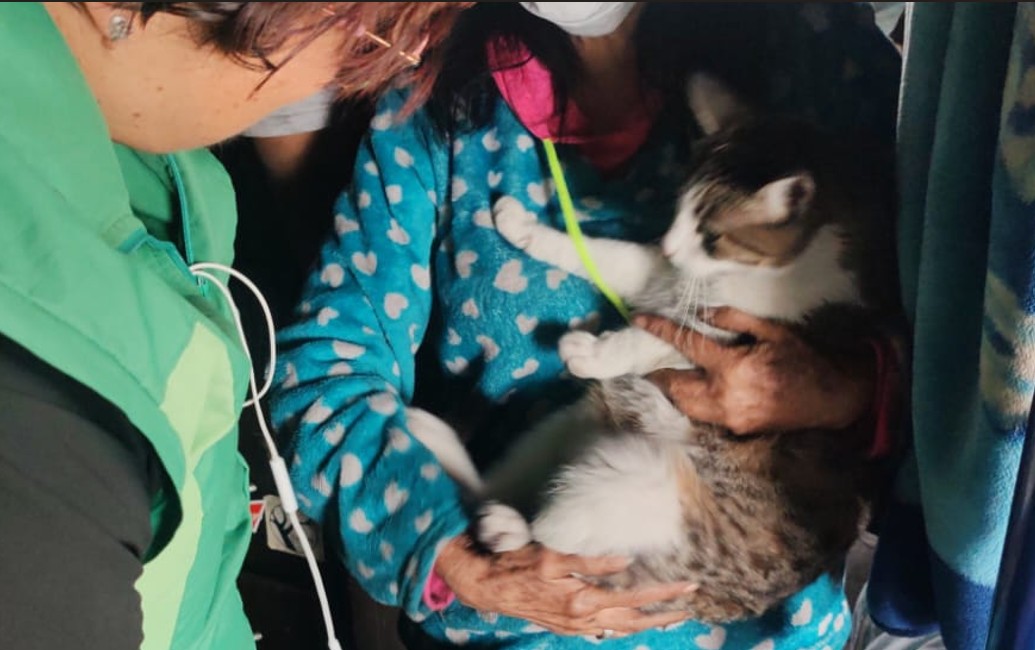 2026-01-22 incendio 1