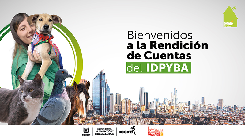 Banner de rendición de cuentas 2024