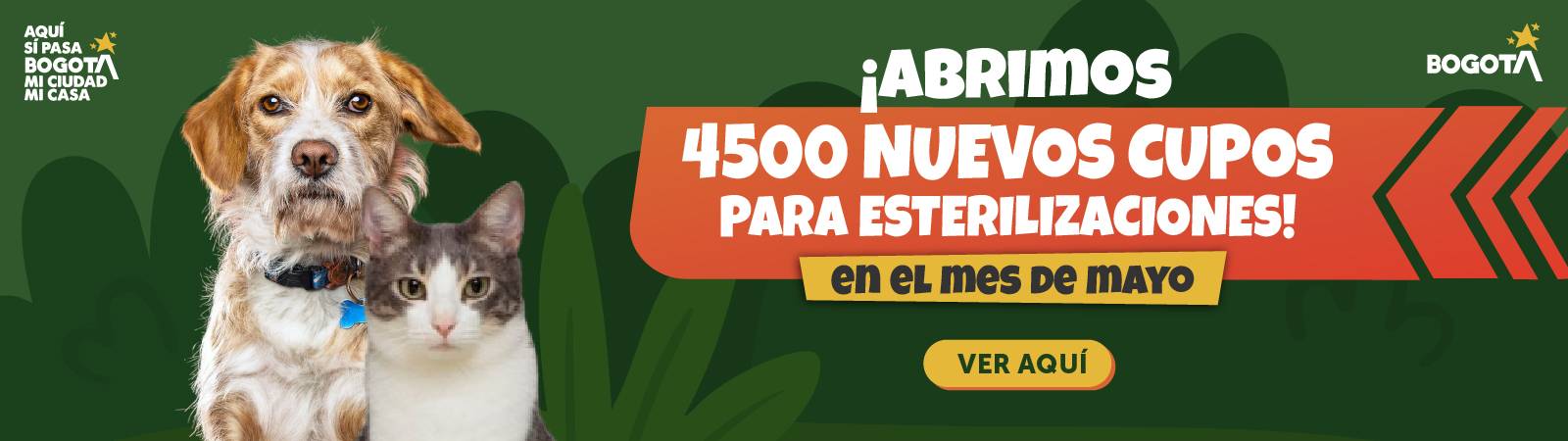 4.250 nuevos cupos de esterilización gratuita