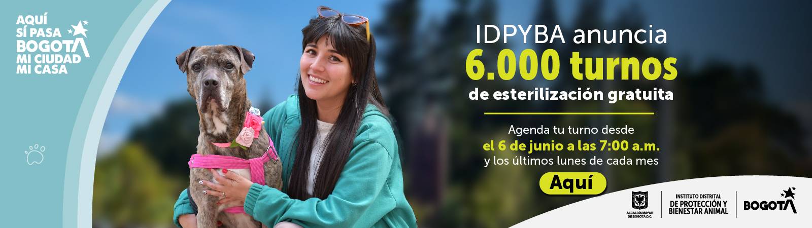 Banner Jornadas de esterilización 