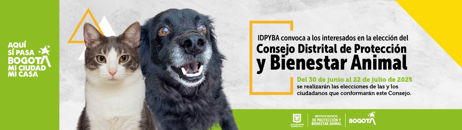 Banner Consejo Distrital PYBA