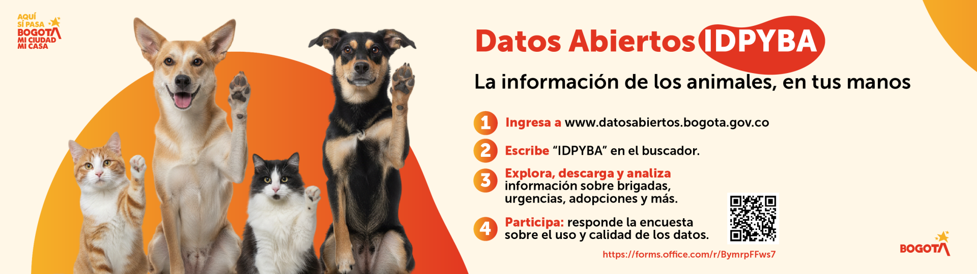 Banner Datos Abiertos 2025