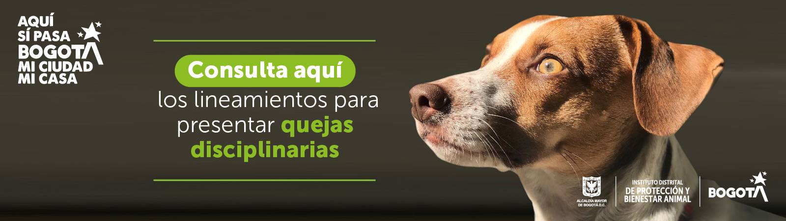 Banner quejas disciplinarias