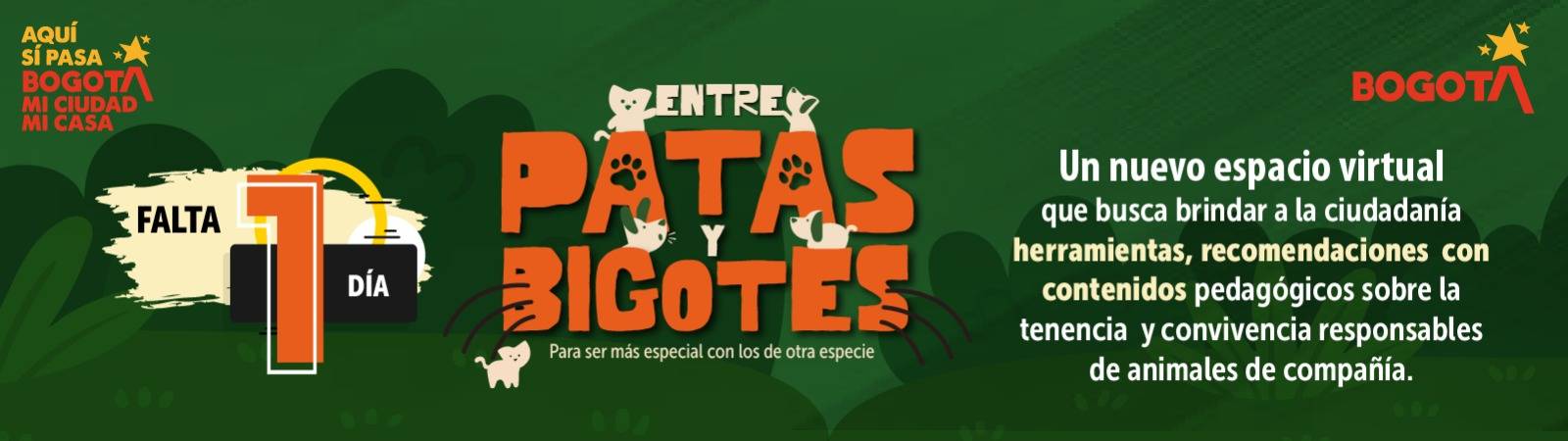 Entre Patas y Bigotes Entre Patas y Bogotes
