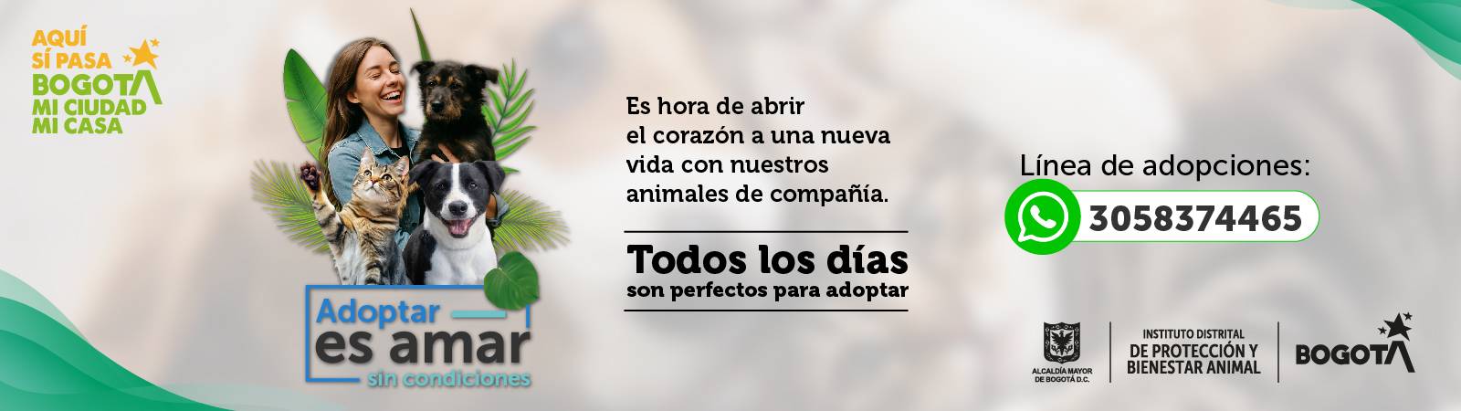 Banner Adopta