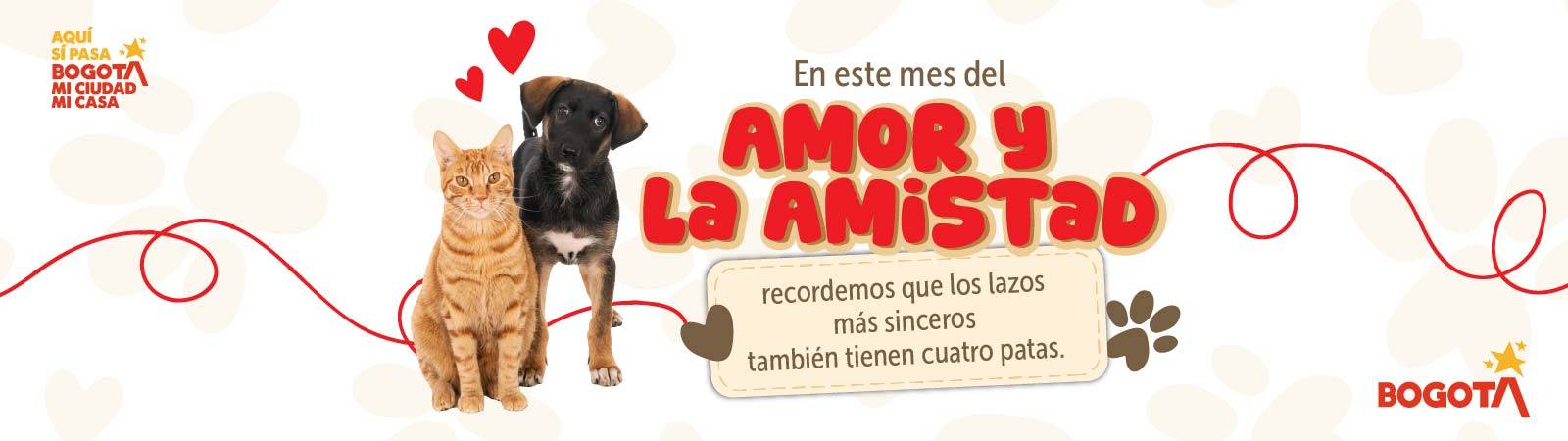 Banner Amor y Amistad