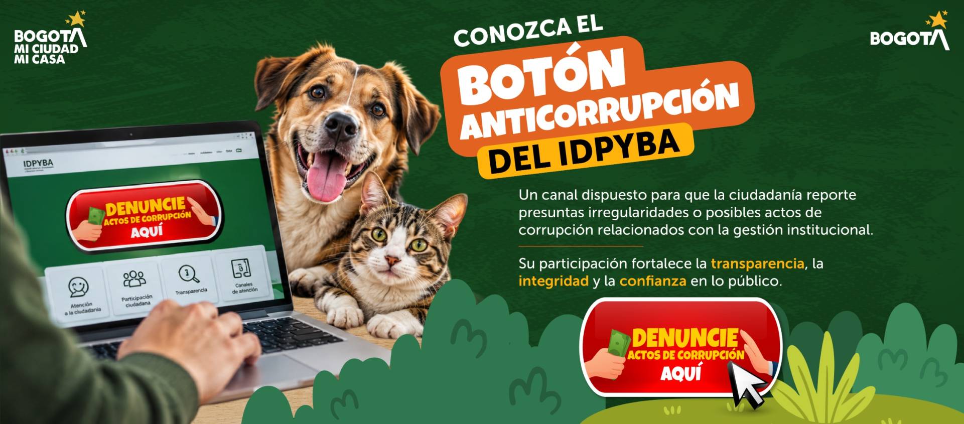 Boton Anticorrupción Boton Anticorrupción