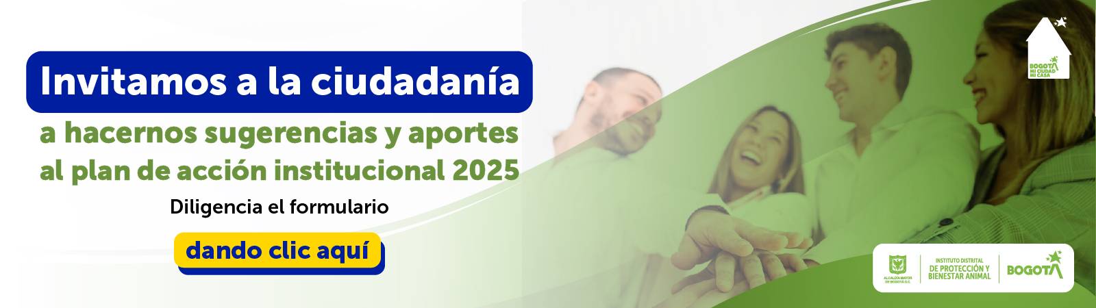 Banner consulta ciudadana PAI 2025