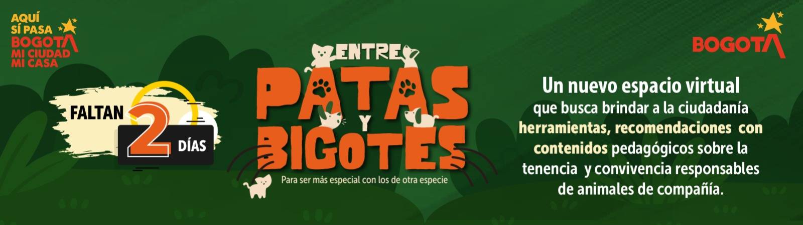 Entre Patas y Bogotes