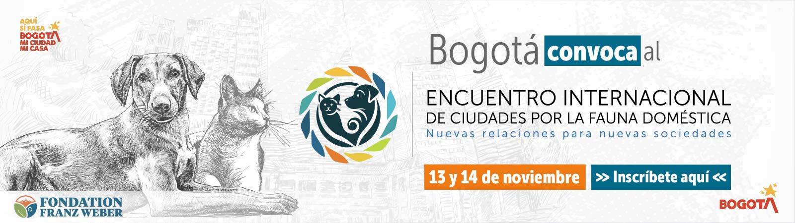 Banner Fauna Doméstica 