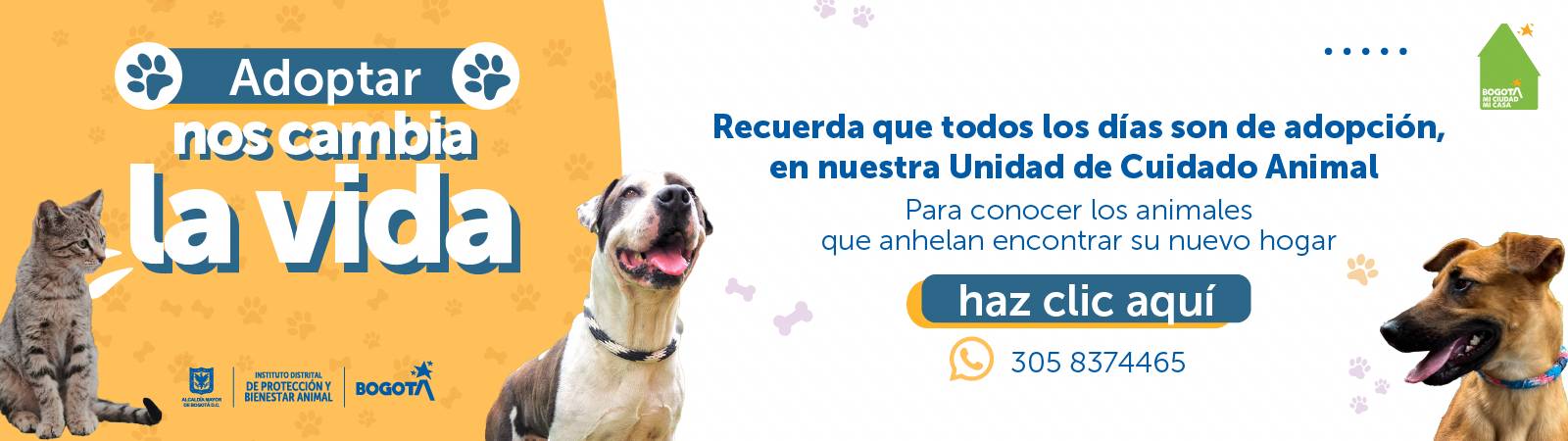 Banner adoptar nos cambia la vida