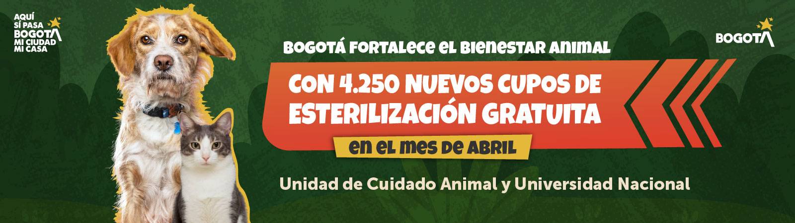 4.250 nuevos cupos de esterilización gratuita 4.250 nuevos cupos de esterilización gratuita