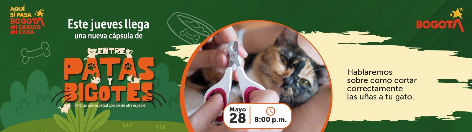 Entre Patas y Bigotes Entre Patas y Bigotes