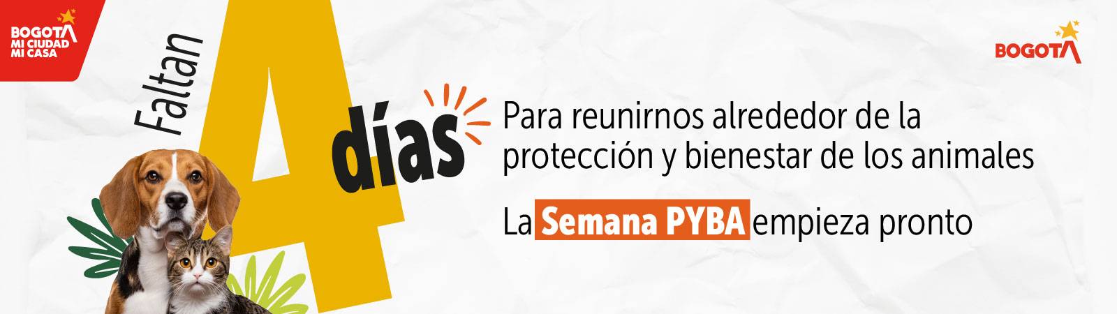 Semana PYBA