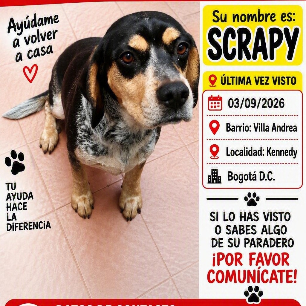 Scrapy