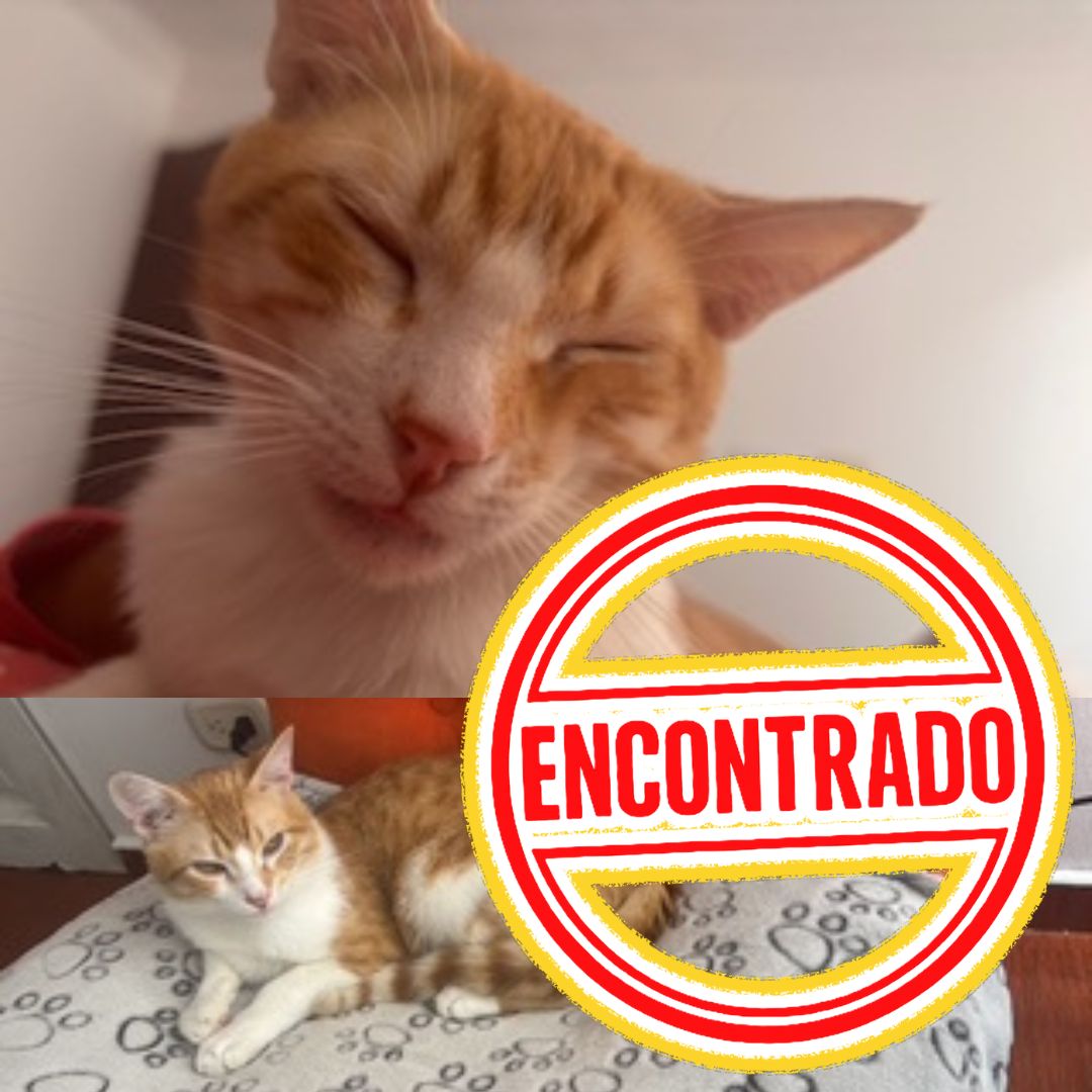 Buñuelo