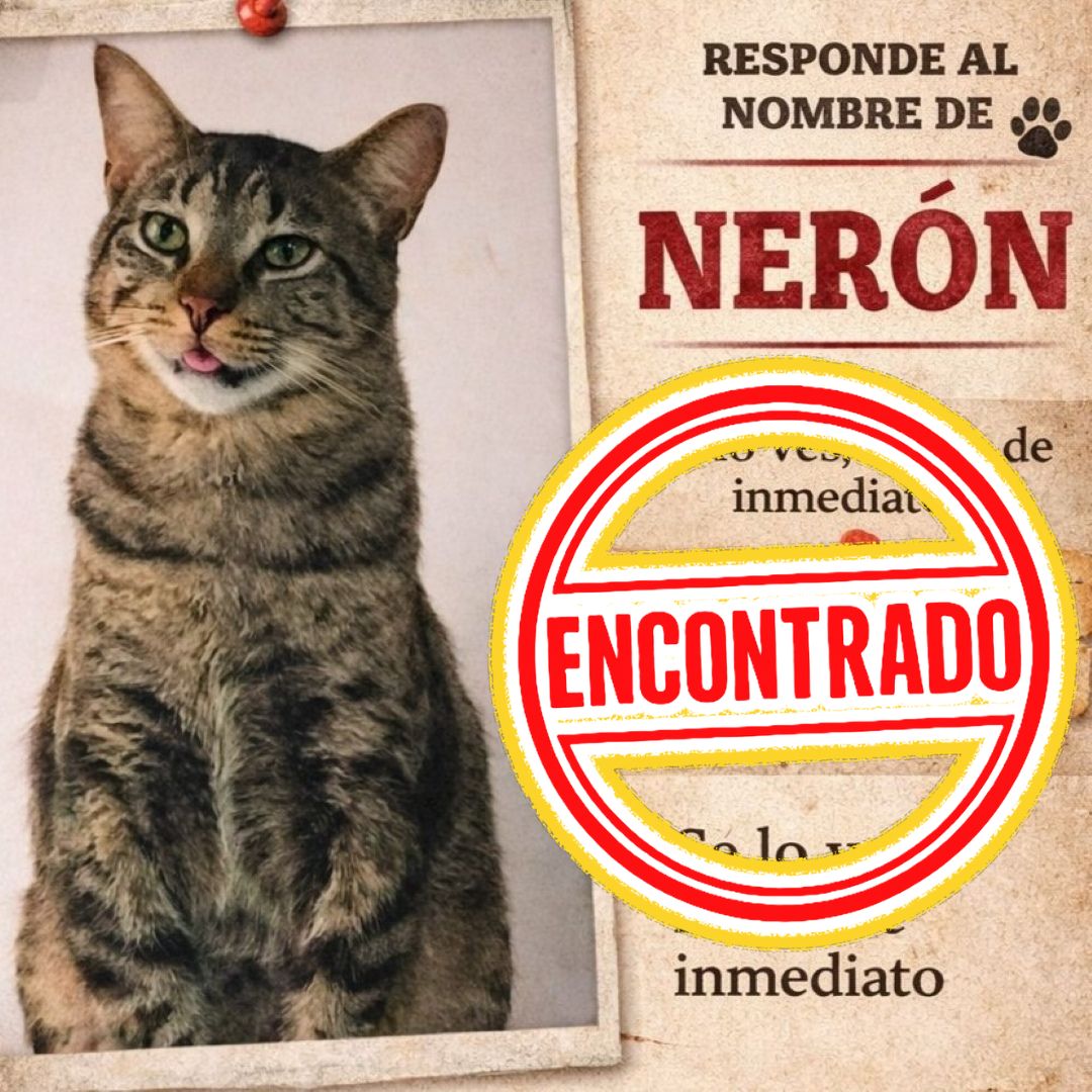 Nerón