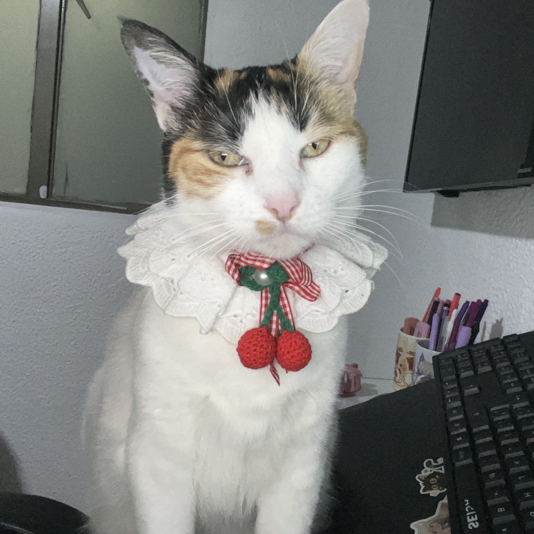 Leia
