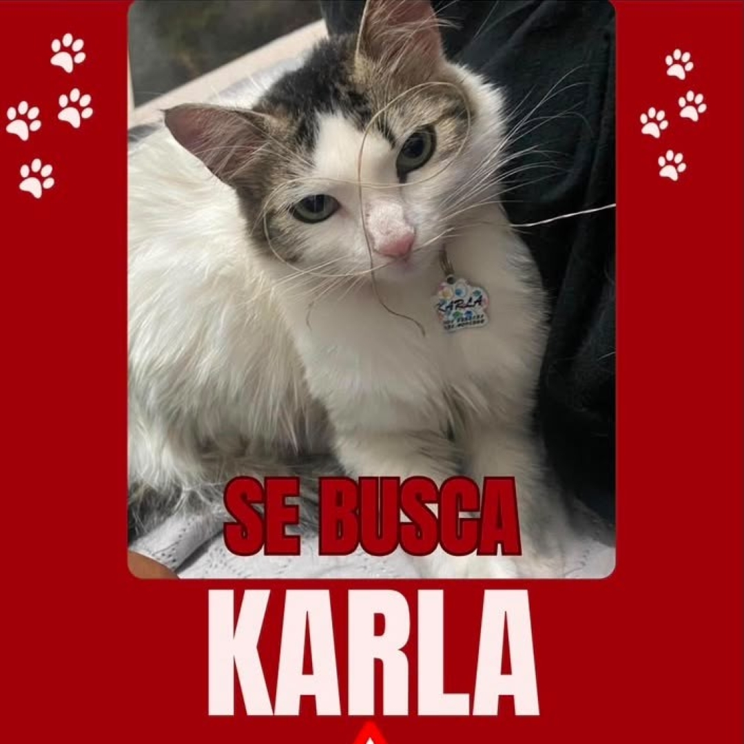 Karla