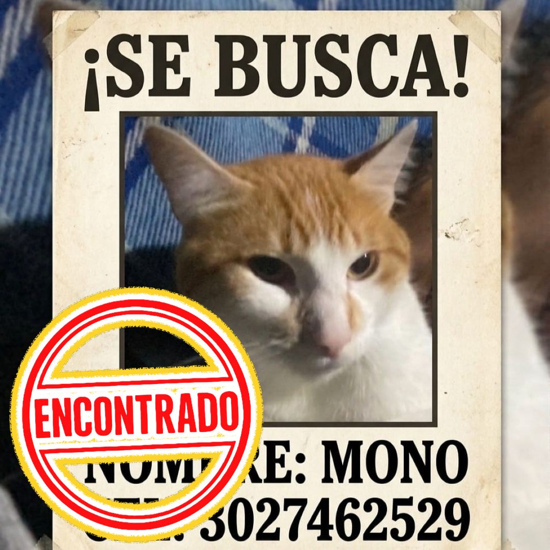 Mono