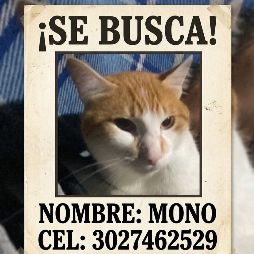 Mono