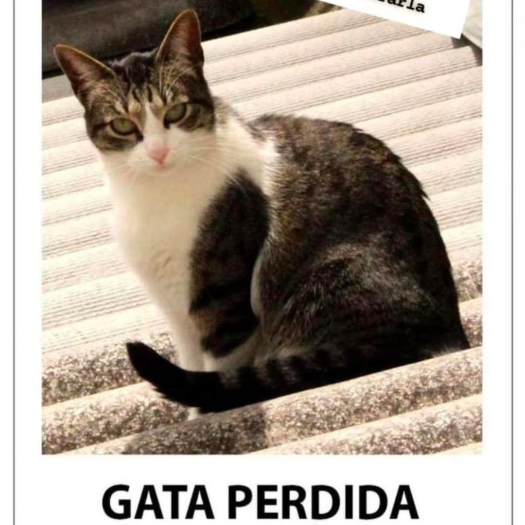 Úrsula