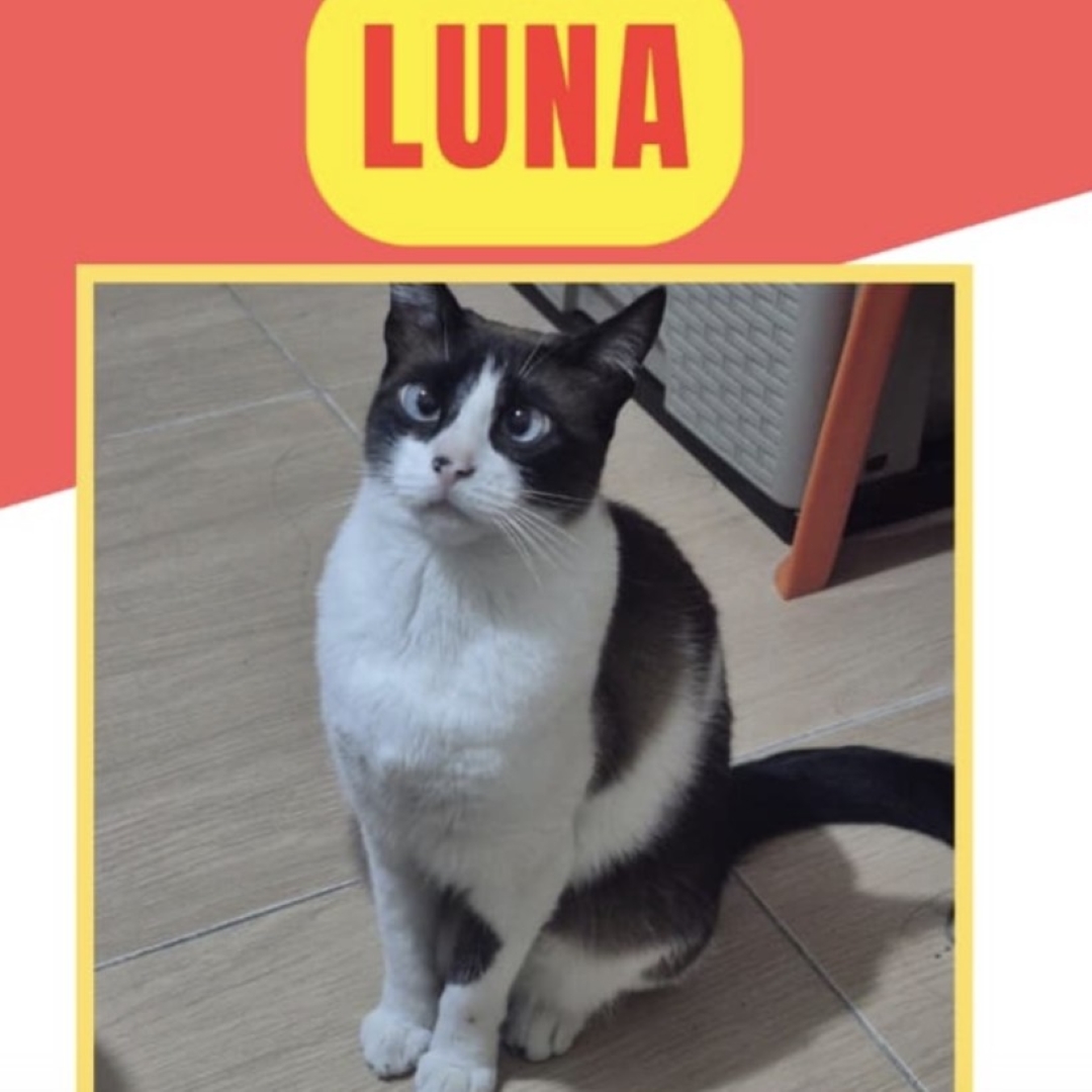 Luna