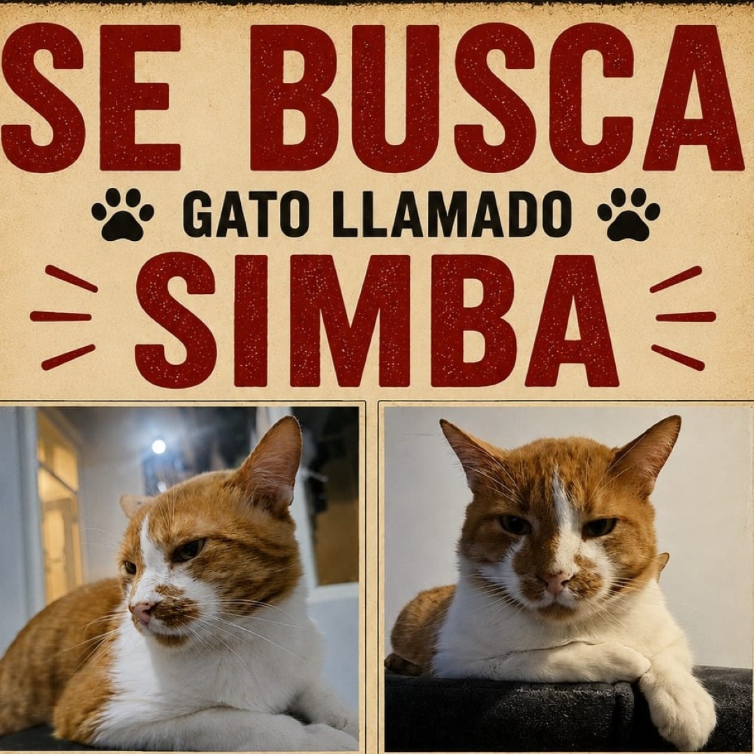 Simba