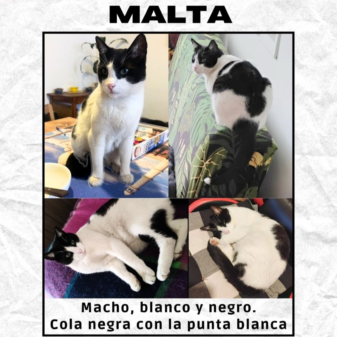 Malta