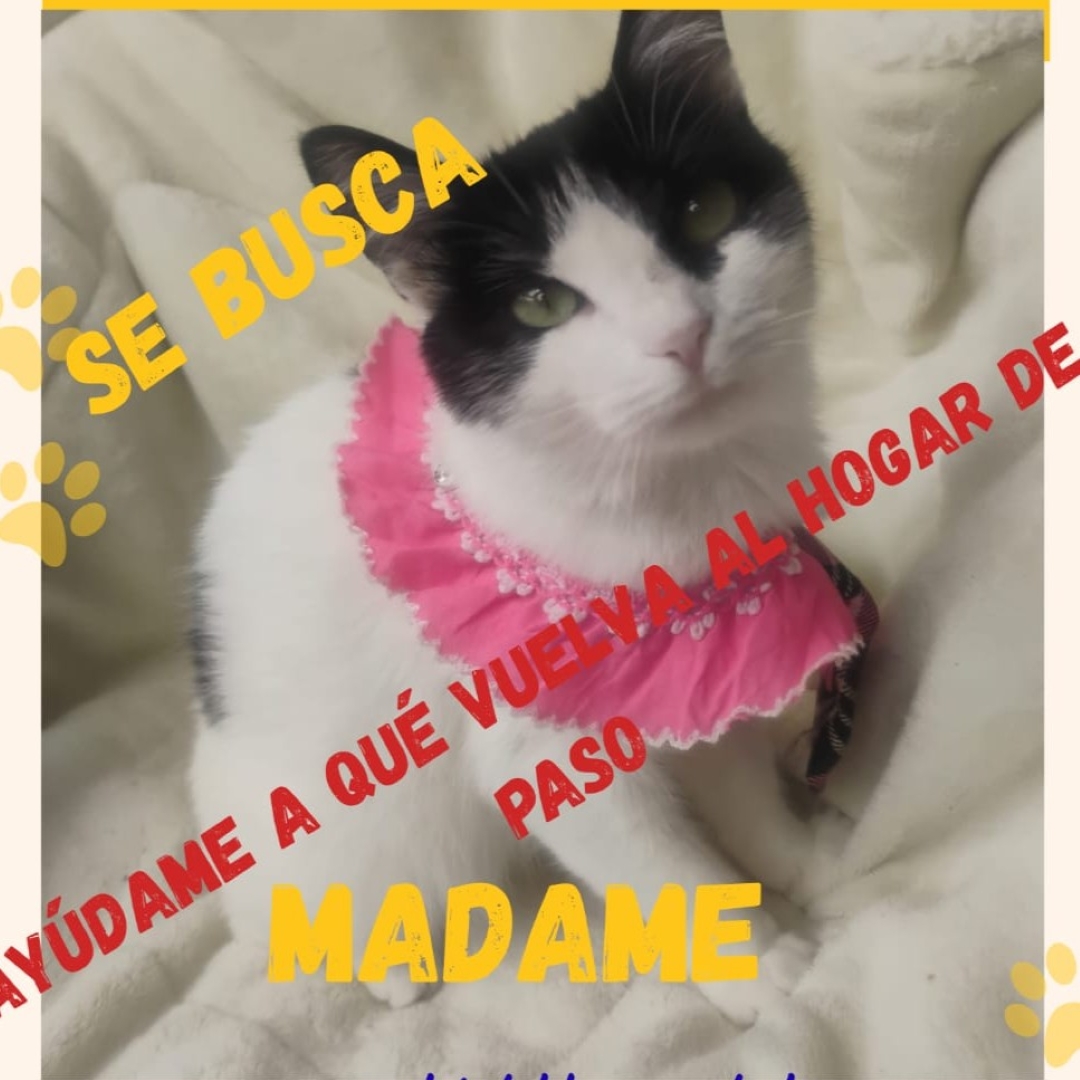Madame