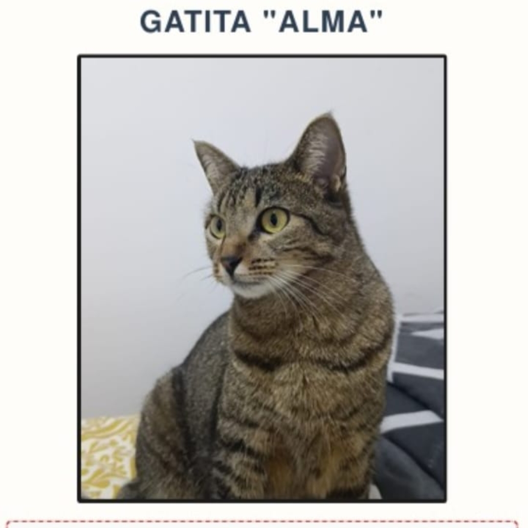 Alma