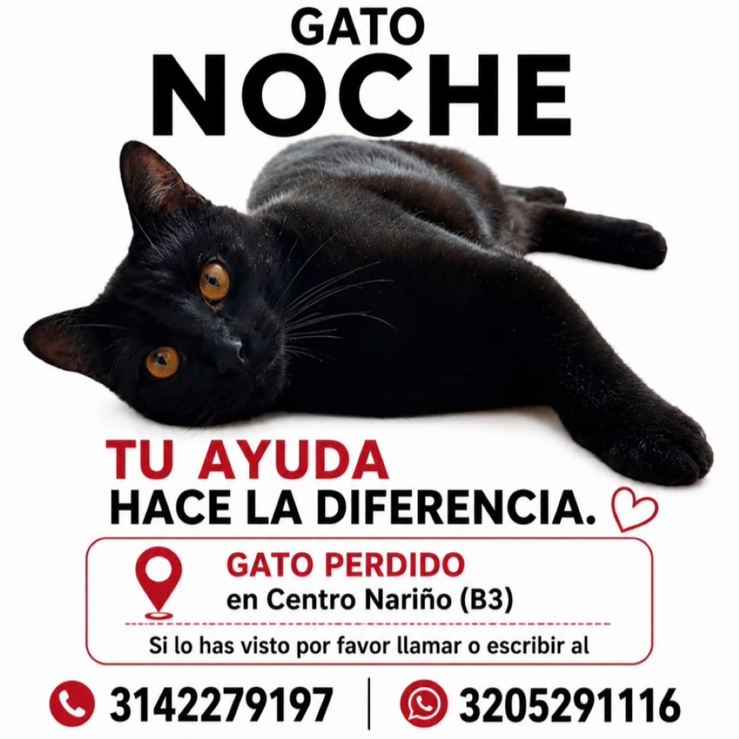 Noche