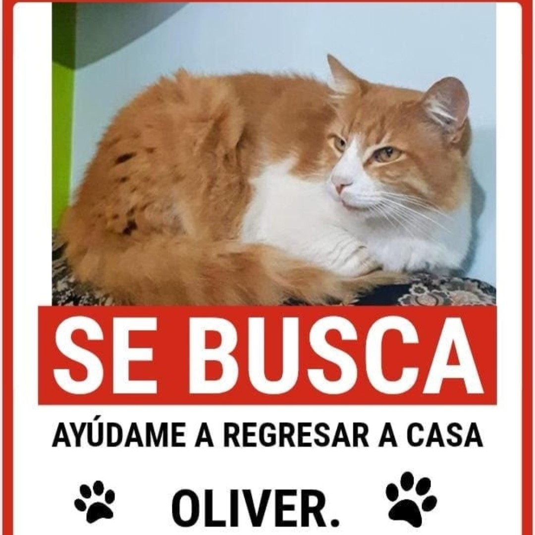 Oliver