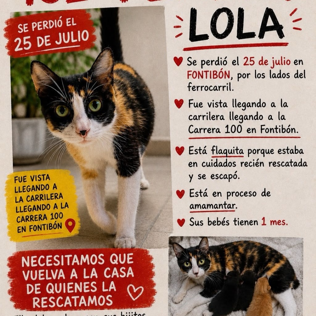 Lola