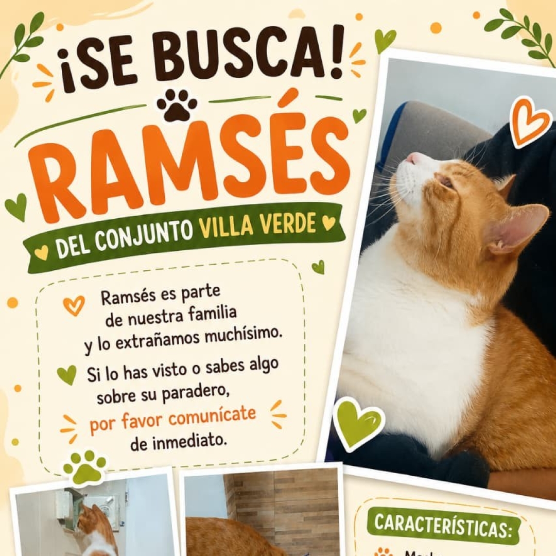 Ramsés