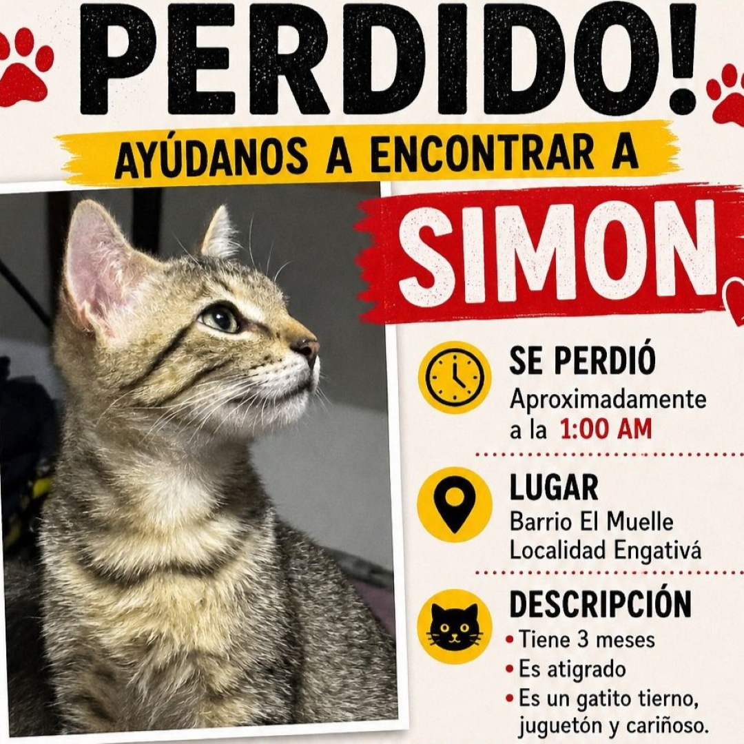 Simón
