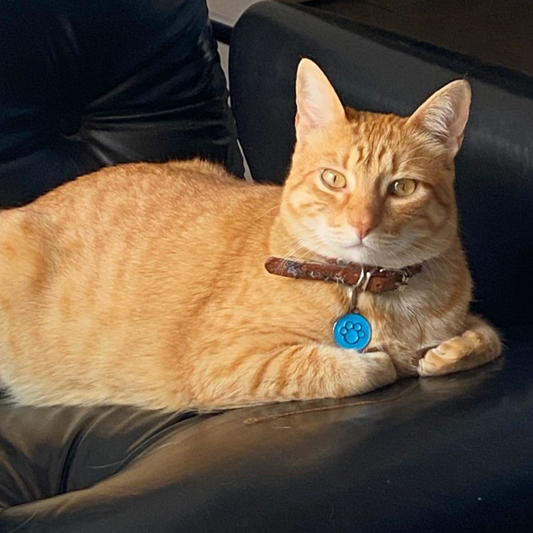 Maximiliano 