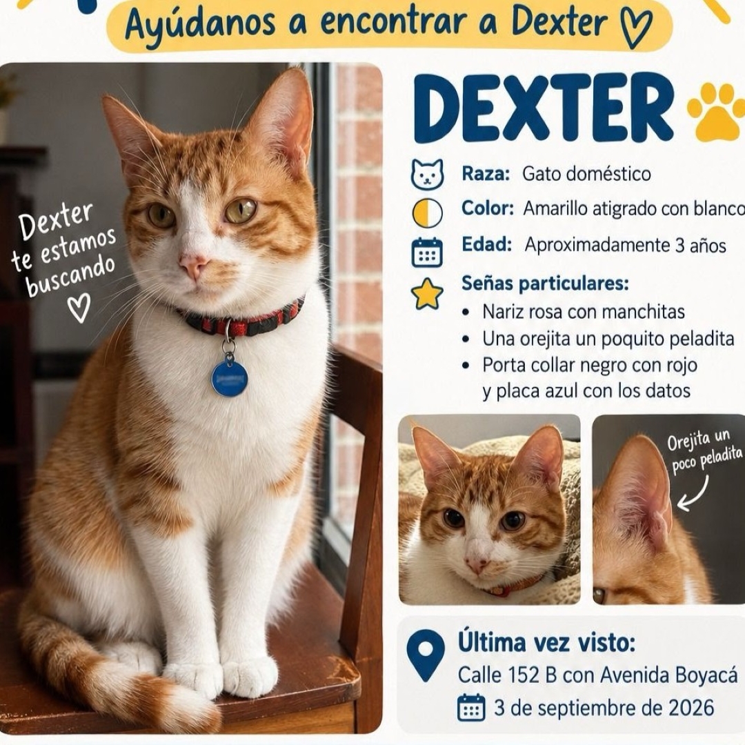 Dexter