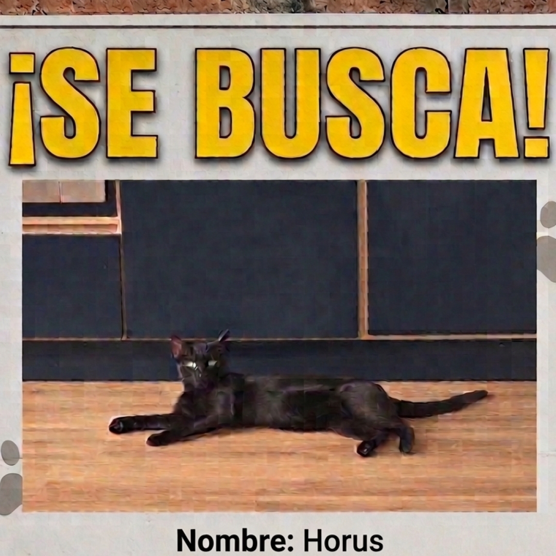Horus