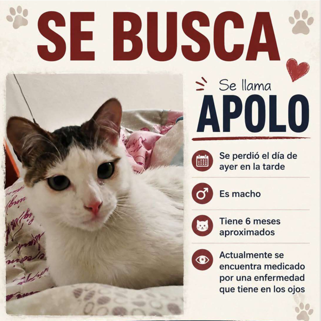 Apolo