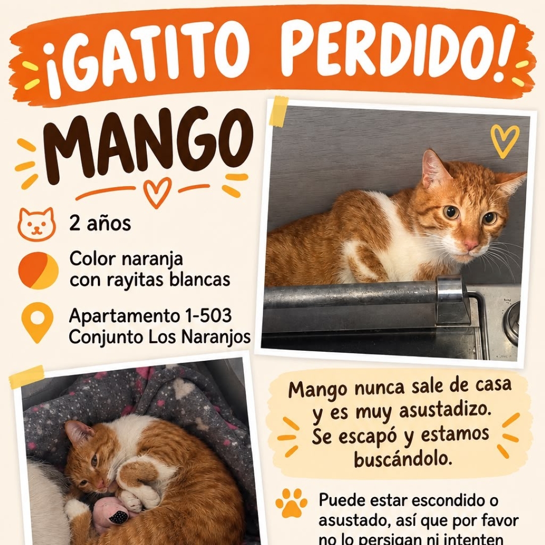 Mango