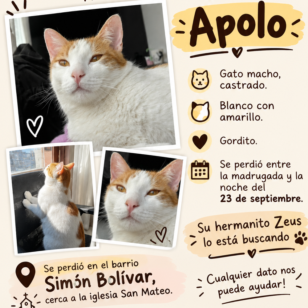 Apolo