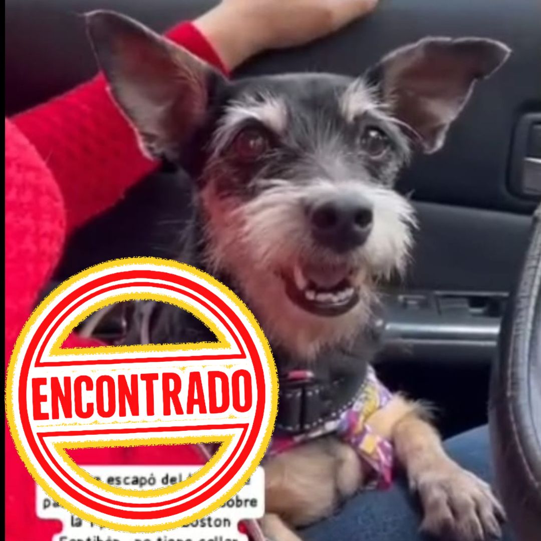 Lulú